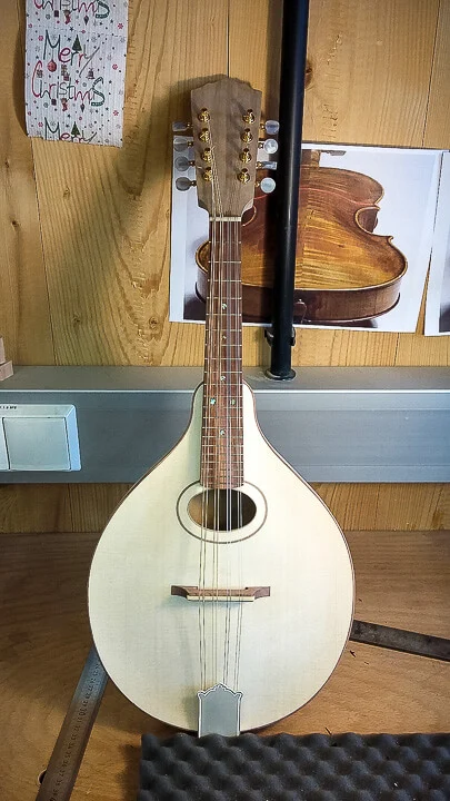 Instrument before finishing
