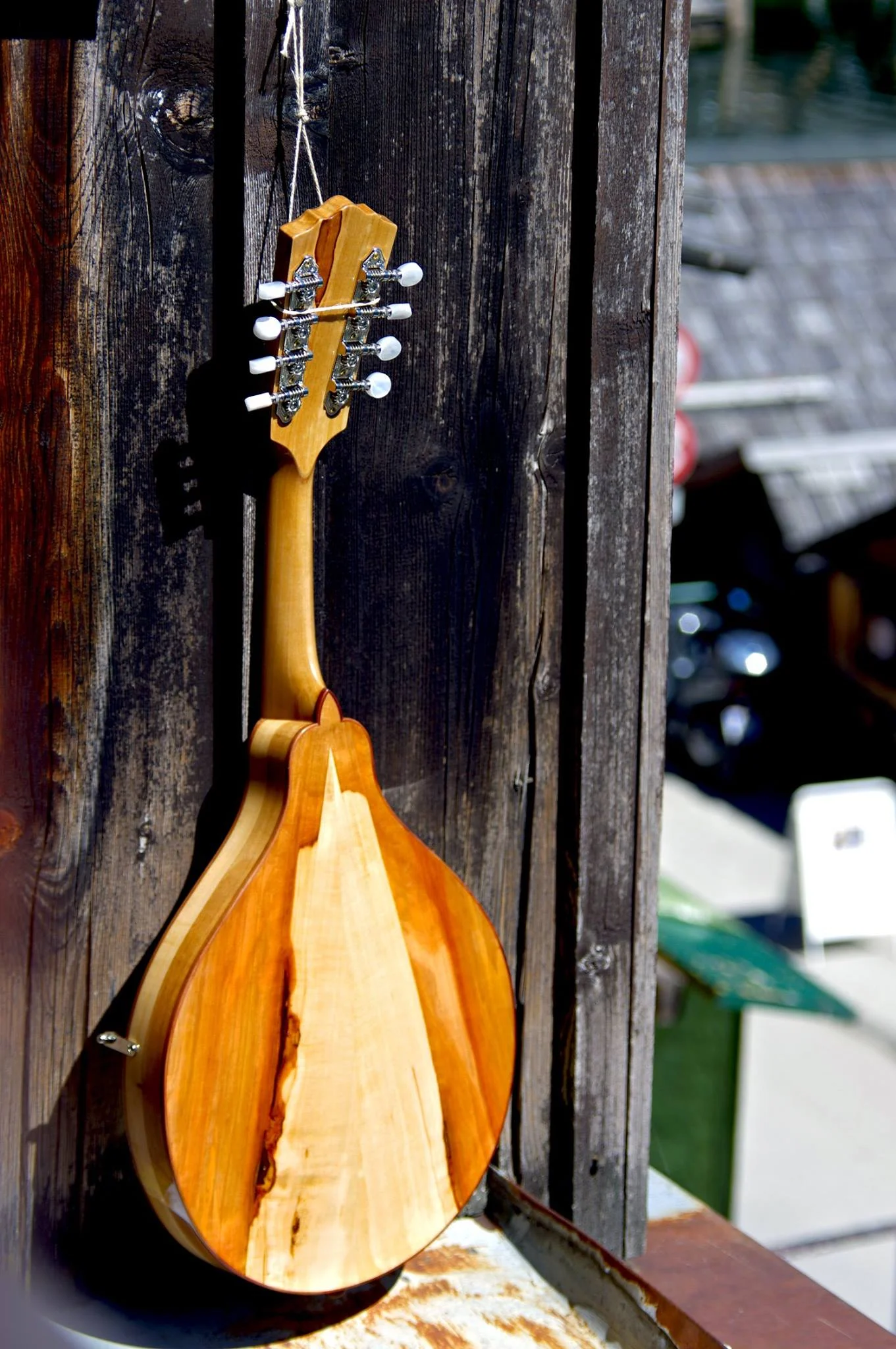 Mandolin · Back view