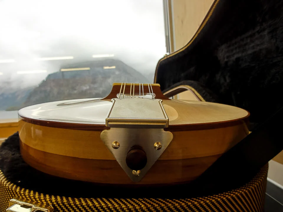 Tailpiece and sides