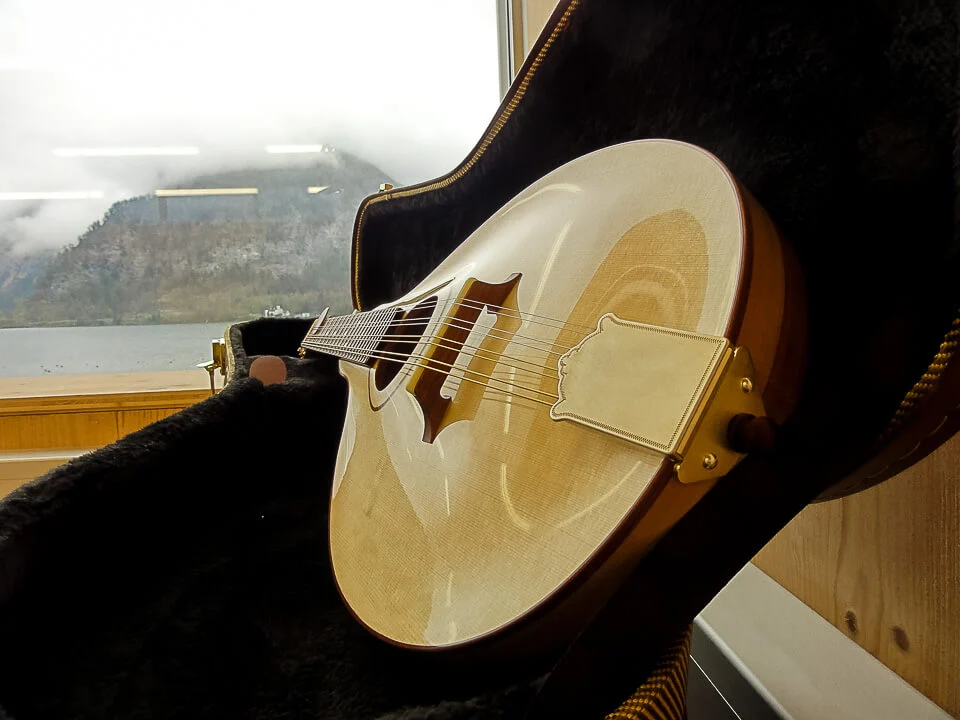 Bridge and arched soundboard