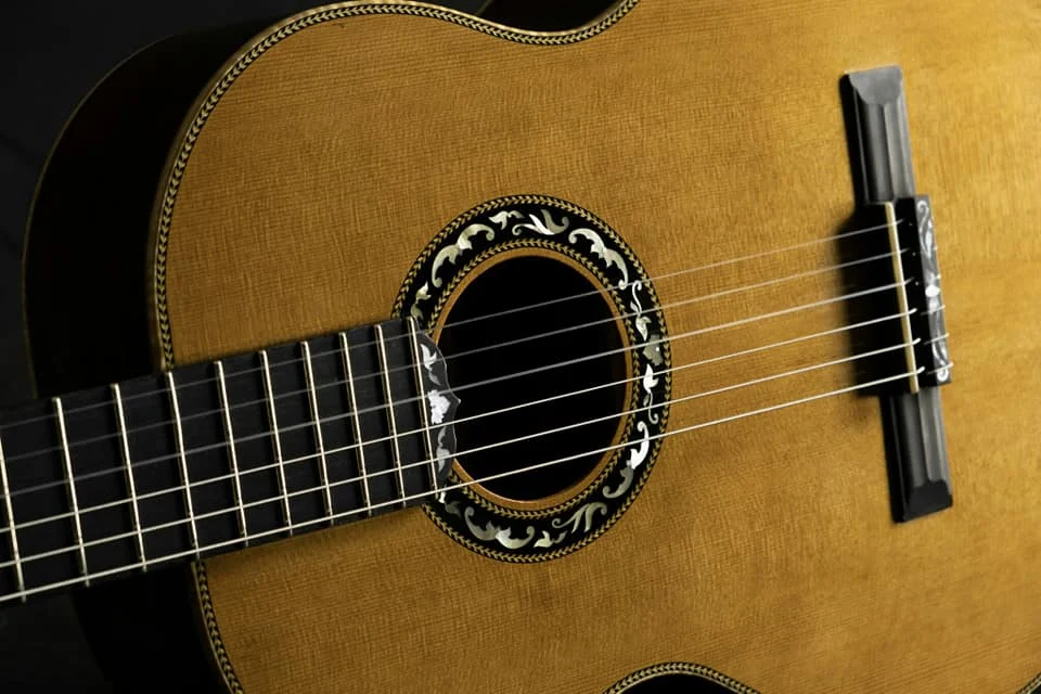 Rosewood guitar