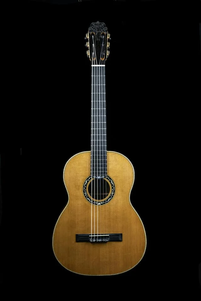 Rosewood guitar built by Ringsenberg Instruments, full front view